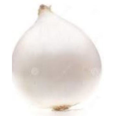 rd-19625609-white-onion-bag-10-lbs