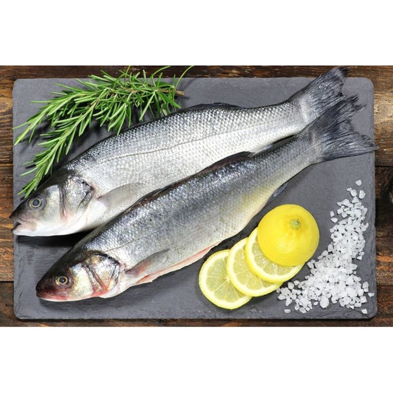rd-71302260-true-north-whole-bronzini-600800-grams-22-lbs