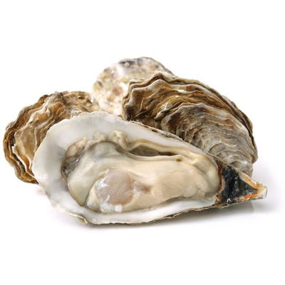 rd-50192167-frsh-oyster-pint--rw-r