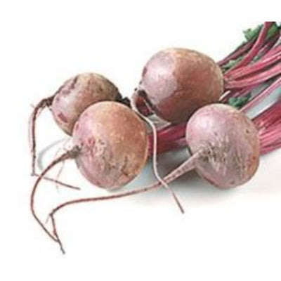 rd-51257665-red-beets-5-lbs