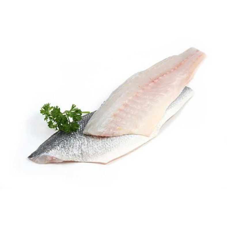 rd-70533115-fresh-bronzino-fillets-600-800-grams-1-lb