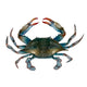 Frozen Soft Shell Crab Prime