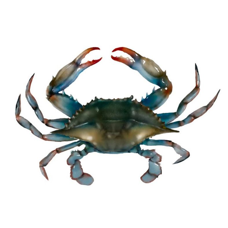 Frozen Soft Shell Crab Prime