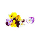 Cornabria Blossom - 50 ct