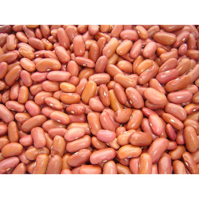 rd-51263956-light-red-kidney-beans-25-lbs