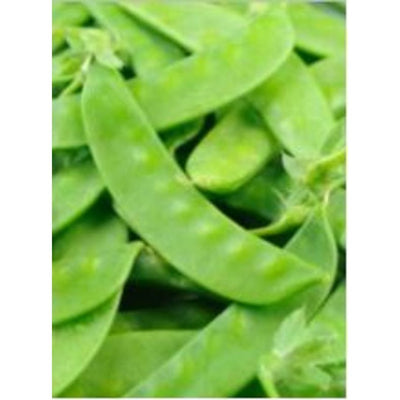 rd-2646366-snow-peas-10-lbs