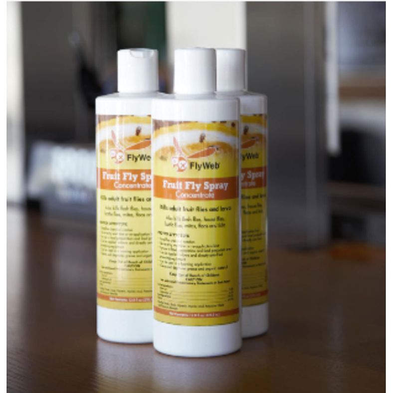 rd-27527472-flyweb-fruit-fly-aerosol-spray-14-fl-oz