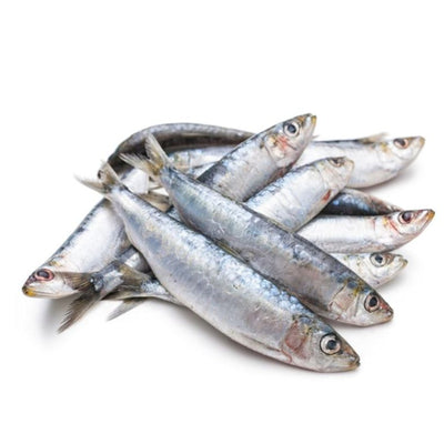 rd-24472470-frozen-medium-sardines-2-lb