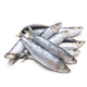Sardines Medium - 2 lb