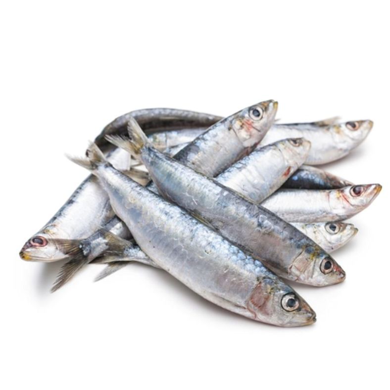 Sardines Medium - 2 lb