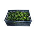 Jalapeno Pepper - Case