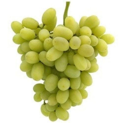 rd-26112210-sundale-vineyards-fresh-green-vine-grapes-3-lb