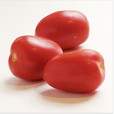 rd-19328475-produce-tomato-plum-xl-case