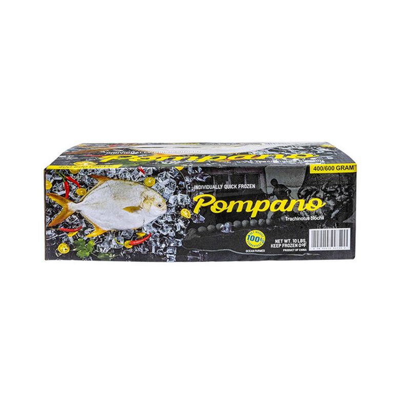 Frozen Whole Golden Pompano (Gutted and Scaled) - 400-600 g - 10 lb