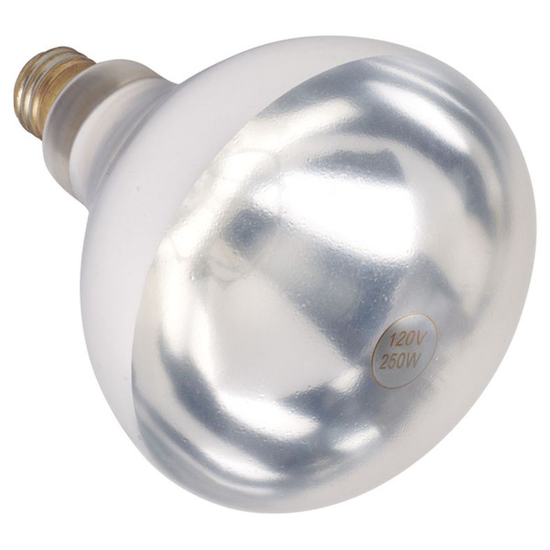 rd-3342012-winco-01697w-250-watts-replacement-bulb-for-heat-lamp-each