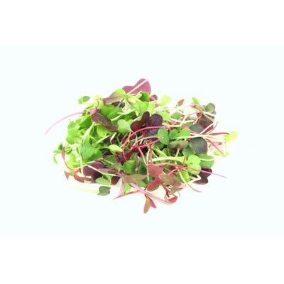 rd-19190609-rainbow-microgreens-each
