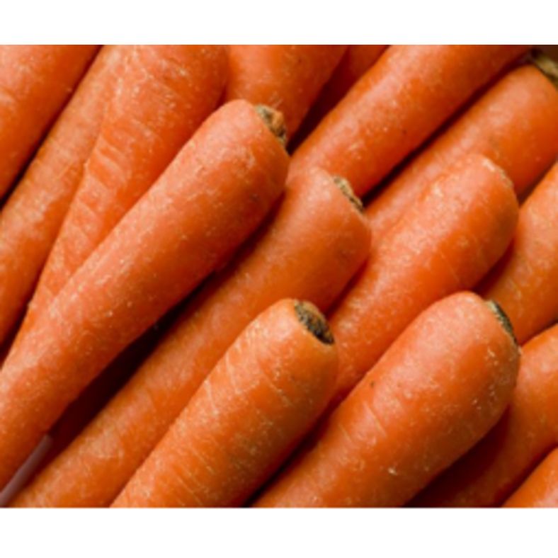 Jumbo Carrots - 50 lb