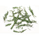 Rosemary - 1 lb