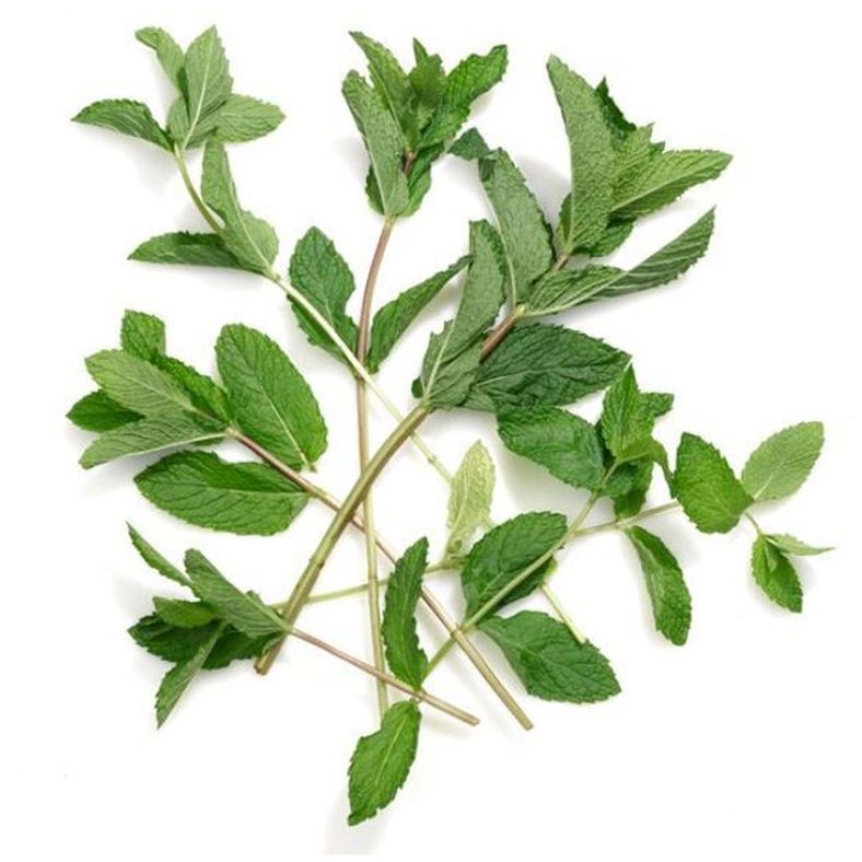Mint - 4 oz