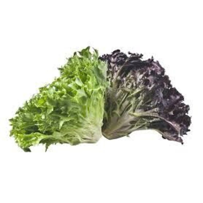rd-1959980-lettuce-artisan-each