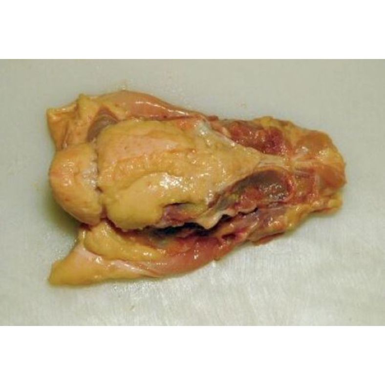 rd-70533000-frozen-chicken-back-bones-40-lb