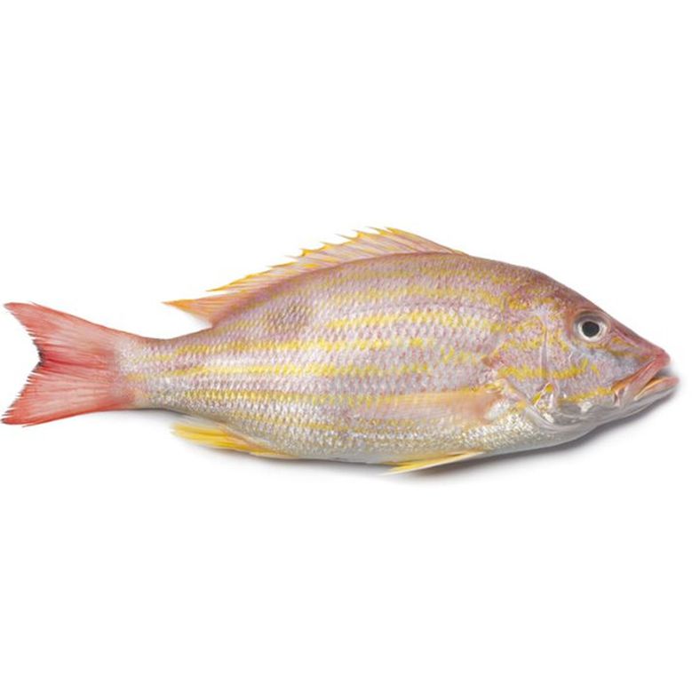 Frozen Whole Caribbean Lane Snapper (1/2 - 3/4 lb average) - 10 lb