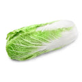 Napa Cabbage - 30 lb