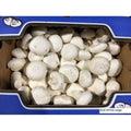 White Large Mushrooms - 10 lb
