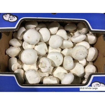 rd-19191530-large-mushrooms-10-lb