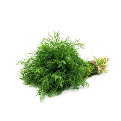 rd-19188784-dill-4-oz