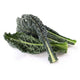 Kale - 24ct - 20 lb