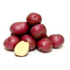 Red Potato (US #1) - 10 lb