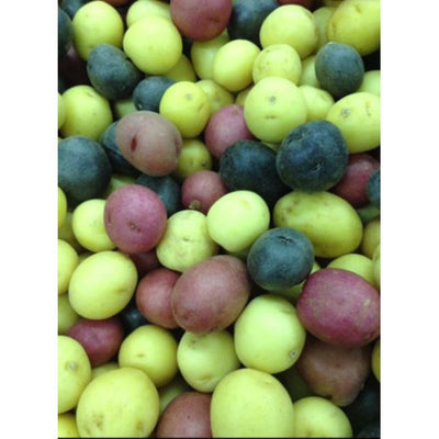 rd-19189280-pd-baby-potato-medley-10-lb