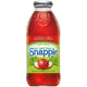 Snapple - Apple Juice - 24x16 oz Glass