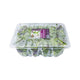 Organic Spring Mix - 2 lb