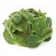 Classic Salads - Asian Blend Salad - 2 lb