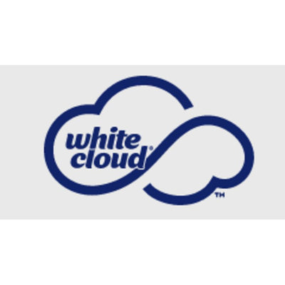 rd-51264608-white-cloud-paper-towel-15-ct