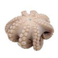 Frozen Octopus (Flower Pack T-5) - 2.5-3 lb