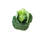 Green Cabbage - 45 lb