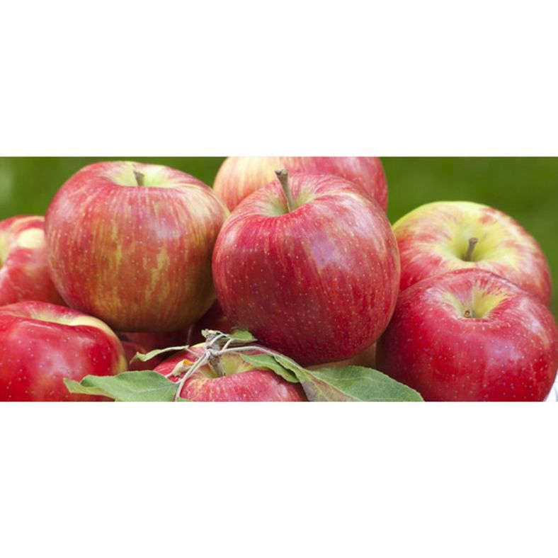 rd-54475675-sage-honey-crisp-apples-8-ct