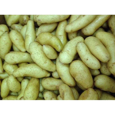 rd-19192305-fingerling-potatoes-10-lb
