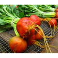Golden Beets - 25 lb