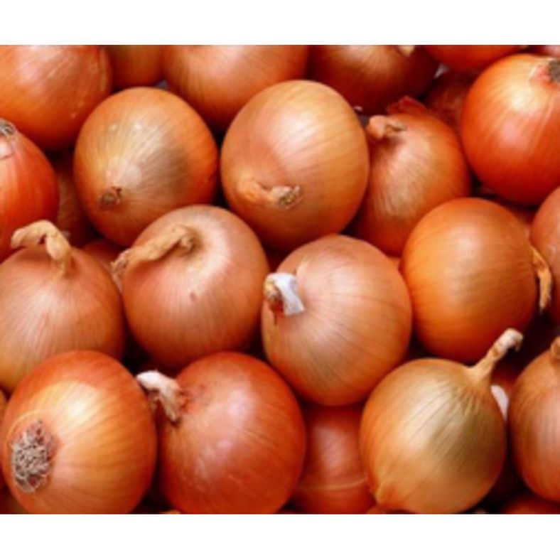 rd-17627846-yellow-onion-bag-10-lbs