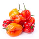 Habanero Peppers - 8 lb