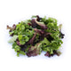 Mesclun/Spring Mix - 3 lb