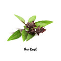 Thai Basil - 4 oz