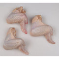 Frozen Jumbo Party Chicken Wings, IQF