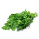 Italian Flat Parsley - 60 ct