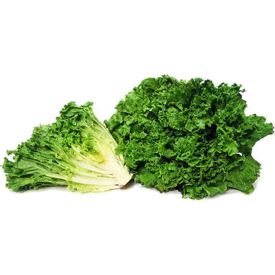 rd-51264227-green-leaf-lettuce-24-ct-24-ct