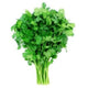 Cilantro (Wet)